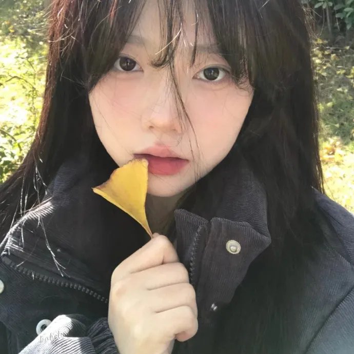 我的夏日恋曲